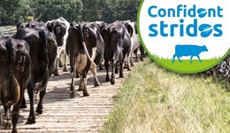 *POSTPONED* Norfolk: Taking steps to enhance cow mobility